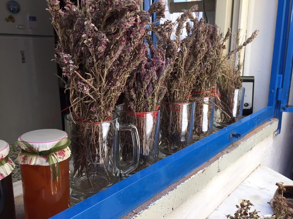 Cunda Adali Pansiyon Ayvalı Buitenkant foto